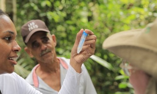 Apoena Biotech explora a Amazônia Verde em busca de novos ativos biológicos