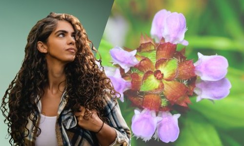 BASF Personal Care lança Ameriflor Calm para fortalecer peles sensíveis