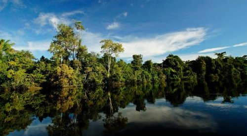 Coalizão Brasil para o Financiamento da Restauração e da Bioeconomia é lançada