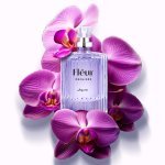 Fléur Orchidée (25 ml)