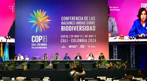 COP16 aprova fundo para partilhar benefícios dos dados genéticos da natureza