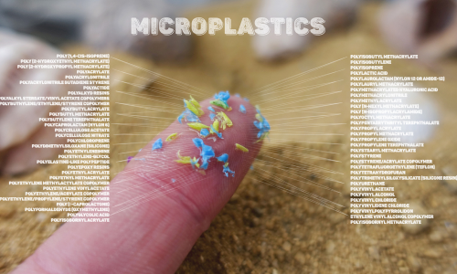 Microplásticos, ameaça onipresente para a saúde humana