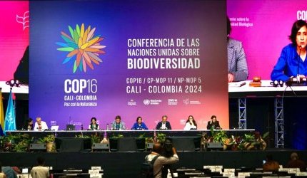 COP16 aprova fundo para partilhar benefícios dos dados genéticos da natureza