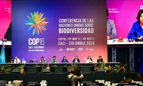 COP16 aprova fundo para partilhar benefícios dos dados genéticos da natureza