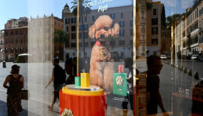 Dolce & Gabbana lança perfume para cães por mais de US$ 100