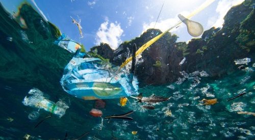 Proibições estaduais a sacolas plásticas reduziram poluição nas praias dos EUA